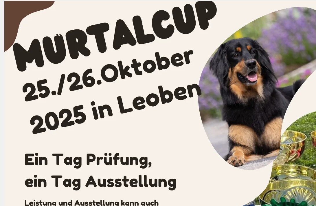 Meldestatistik Murtalcup 2025 / Letztstand